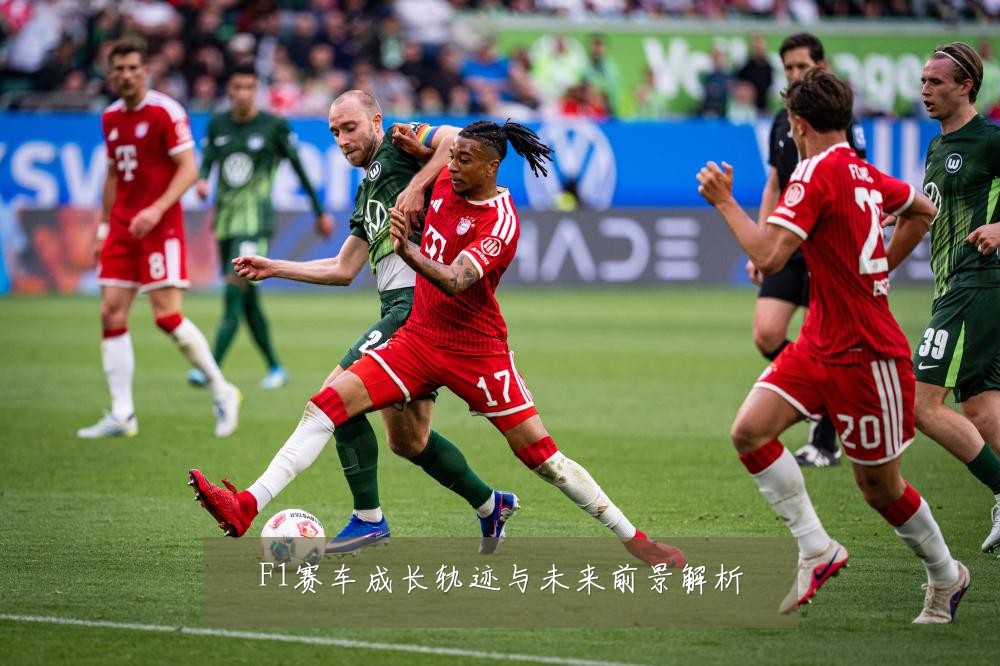 F1赛车成长轨迹与未来前景解析